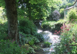 Une promenade dans "Les Jardins de mon Moulin"