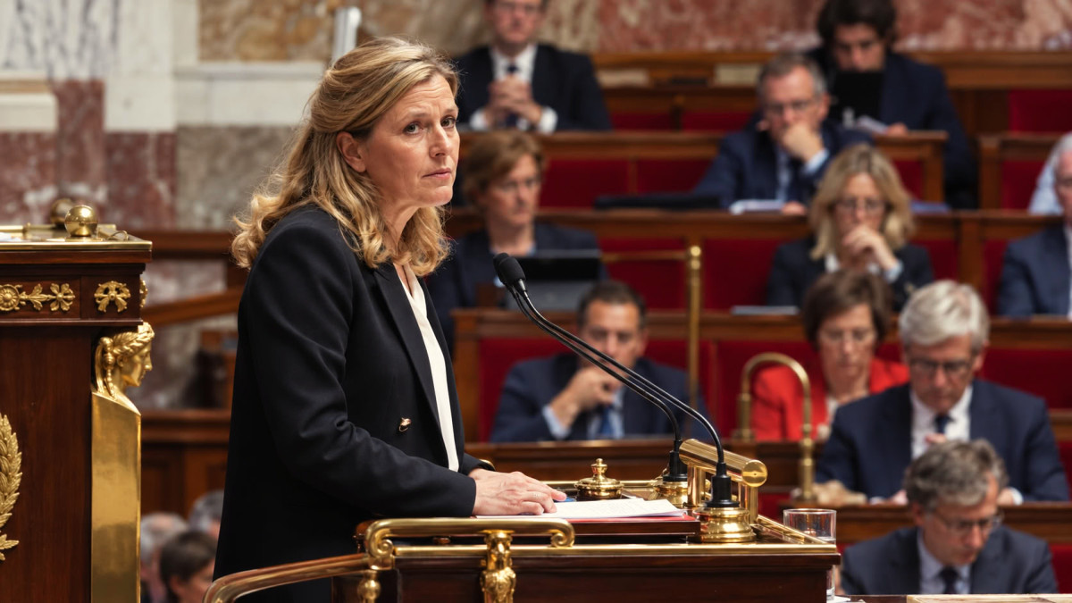 Assemblée nationale : la présidente va proposer une commission d'enquête après des violences " d'une extrême gravité "