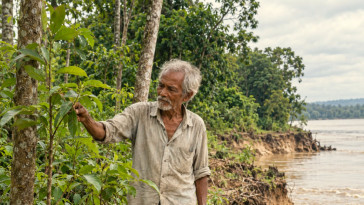 Forest Man : l'homme qui a sauvé son île de l'érosion en plantant une forêt pendant 40 ans